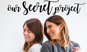OUR SECRET PROJECT ANNOUNCEMENT! | Lily Pebbles