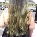 Olive Green Ombre