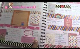 My Planner (How I stay Organized)