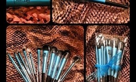 MadeULook Professional Makeup Brush Set (11pcs) ~ General Thoughts!