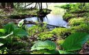 so so green!!