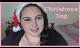 ❄ Christmas Tag 2014 ❄