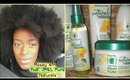 Messy Afro Tutorial  (feat. Jamaican Mango & Lime Pure Naturals) l TotalDivaRea