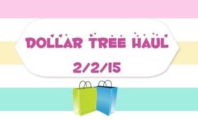 Dollar Tree Haul ~ 2/2/2015