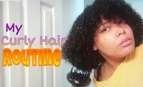 My Curly Hair Routine #NaturalHair - Melanieonlinetv