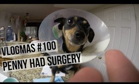 VLOGMAS#100: PENNY HAD SURGERY | SCCASTANEDA