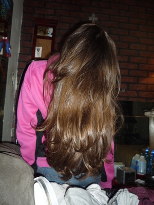 shiny long light brown hair