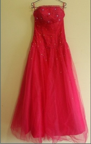 Do u like the dress? 
http://www.sinoant.com/
