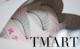 Tmart Eyelashes Review!! Not Kmart...