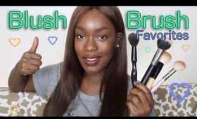 Blush BRUSH Favorites + TIPS