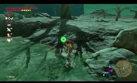 Girl plays Breath of the Wild BLIND STREAM. Part 48