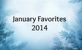 January Favorites 2014