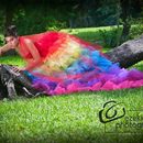 Rainbow dress photo shoot