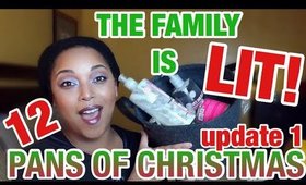 OMG! My Family Is LIT...for 12 PANS OF CHRISTMAS Update #1 | Project Pan 2017 | MelissaQ