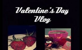 Valentine's Day Vlog 2015