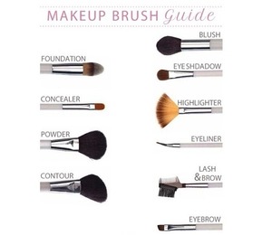 Brushes you can use for your makeup. 