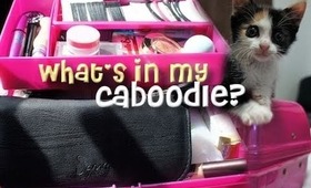 What's In My Caboodle ~ Makeup & Hair