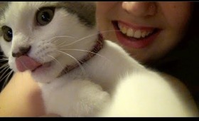 Furry Friend/Pet Tag + Kitty Bloopers!