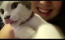 Furry Friend/Pet Tag + Kitty Bloopers!