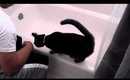 Ellie Kitten in Tub