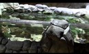 VLOG: Sea Life Aquarium