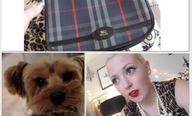 Daily Hayley - Vintage Burberry Purse, Toothless Puppy, One Direction - 3/30 - 4/2