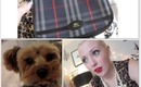 Daily Hayley - Vintage Burberry Purse, Toothless Puppy, One Direction - 3/30 - 4/2