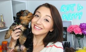 GOT A PUPPY!!! + DOG HAUL 🐾