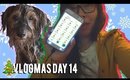 VLOGMAS DAY 14: DOGGY BATH, CHARMANDER NEST | MakeupANNimal