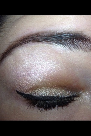 Bold wing with bronze shimmer
