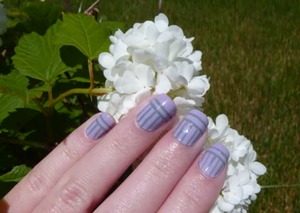 Lilac and Grey Stripes, August 9 2011