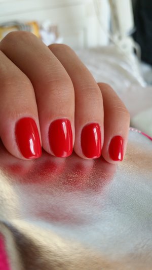 1343 by gelish