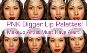 Makeup Artist Kit Focus:  Pnk Digger Palettes