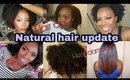 Natural hair update: heat damage, hair cuts and hair recovery│Tamekans