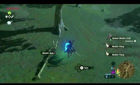 Girl plays Breath of the Wild BLIND STREAM PLAYTHROUGH. Part 12