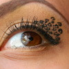 Leopard Eye