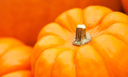 DIY Pumpkin Beauty Recipe