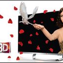The Lg 3D tv campaign  