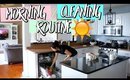MORNING DAILY CLEANING ROUTINE AND TIPS ON HOW TO KEEP YOUR HOME CLEAN