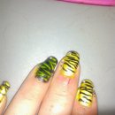 Tiger Stripe Black & Yellow