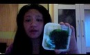 VLOG: 2011 Resolutions, Healthy Foods Haul(?!), Candles