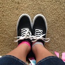 Look Alike Vans