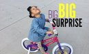 Big Big Surprise