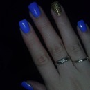 blue and gold