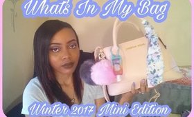 What's In My Bag | Winter 2017 Mini Edition