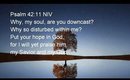Devotional Diva -  Thankful even if you are feeling downcast