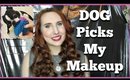 My Dog Picks My Makeup | Did Nickel Do A Good Job? :) Dog Makeup Challenge