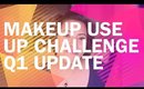 Makeup Use Up Challenge Q1 Update