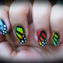 Rainbow Butterfly Wing