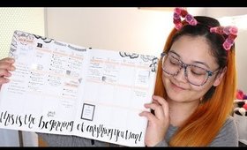 January 2018 Erin Condren Plan With Me (Minimal Stickers)